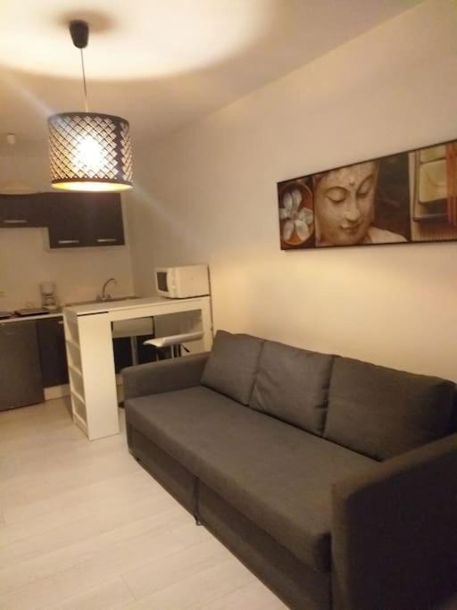 Studio Meuble Wifi A Proximite Du Tram Castelnau-le-Lez Buitenkant foto