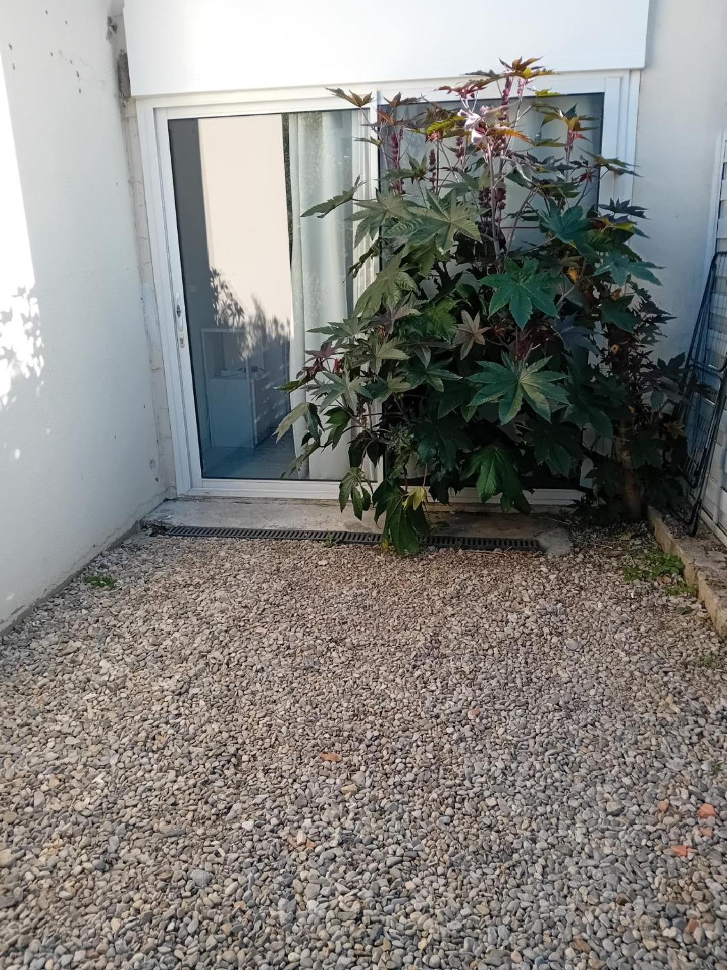 Studio Meuble Wifi A Proximite Du Tram Castelnau-le-Lez Buitenkant foto